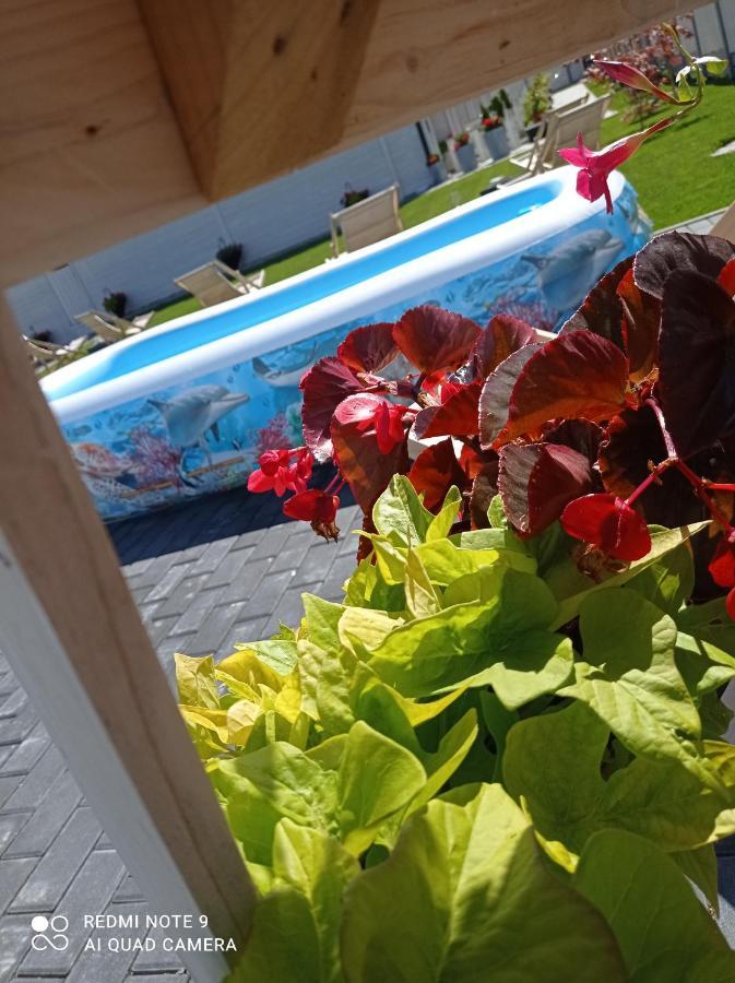 Caloroczny Osrodek Wypoczynkowy Comfort House ドゥシュニキ・ズドルイ エクステリア 写真